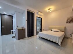 Mount Sophia Suites (D9), Apartment #629066681